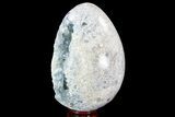 Crystal Filled Celestine (Celestite) Egg Geode - Large Crystals! #88278-2
